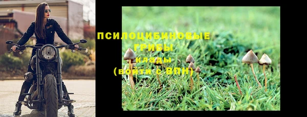 МДПВ Абаза