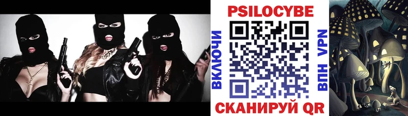 shop телеграм Чулым Галлюциногенные грибы Psilocybine cubensis даркнет сайт